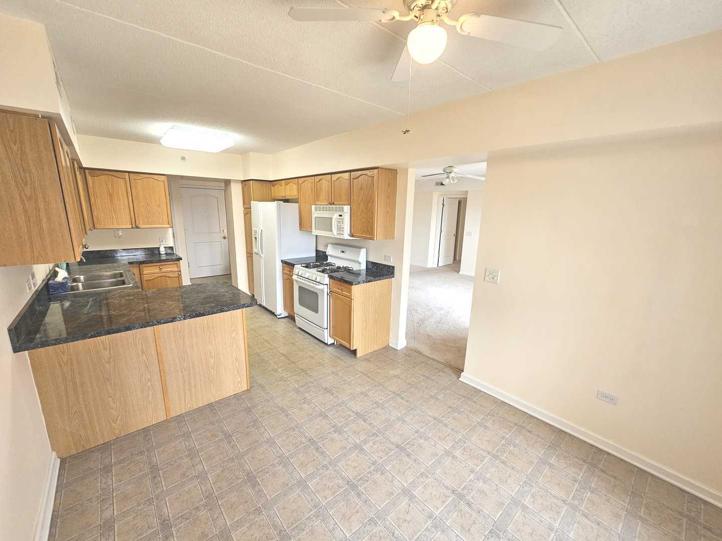 655 Perrie Drive #501, Elk Grove Village, IL 60007