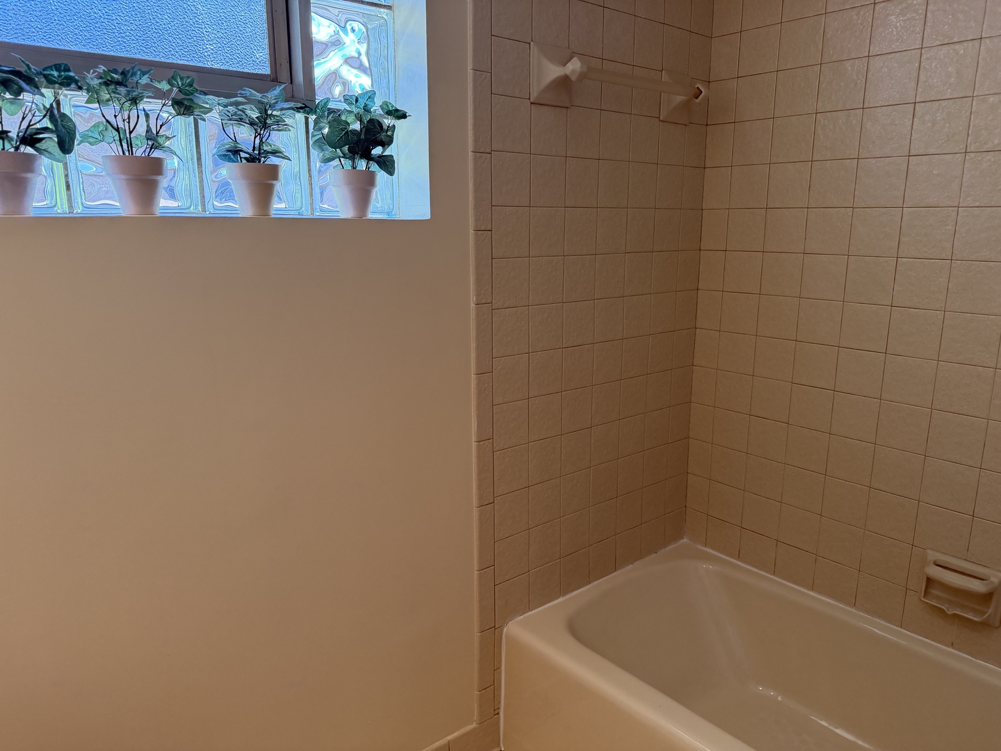 10045 S 53rd Avenue, Oak Lawn, IL 60453
