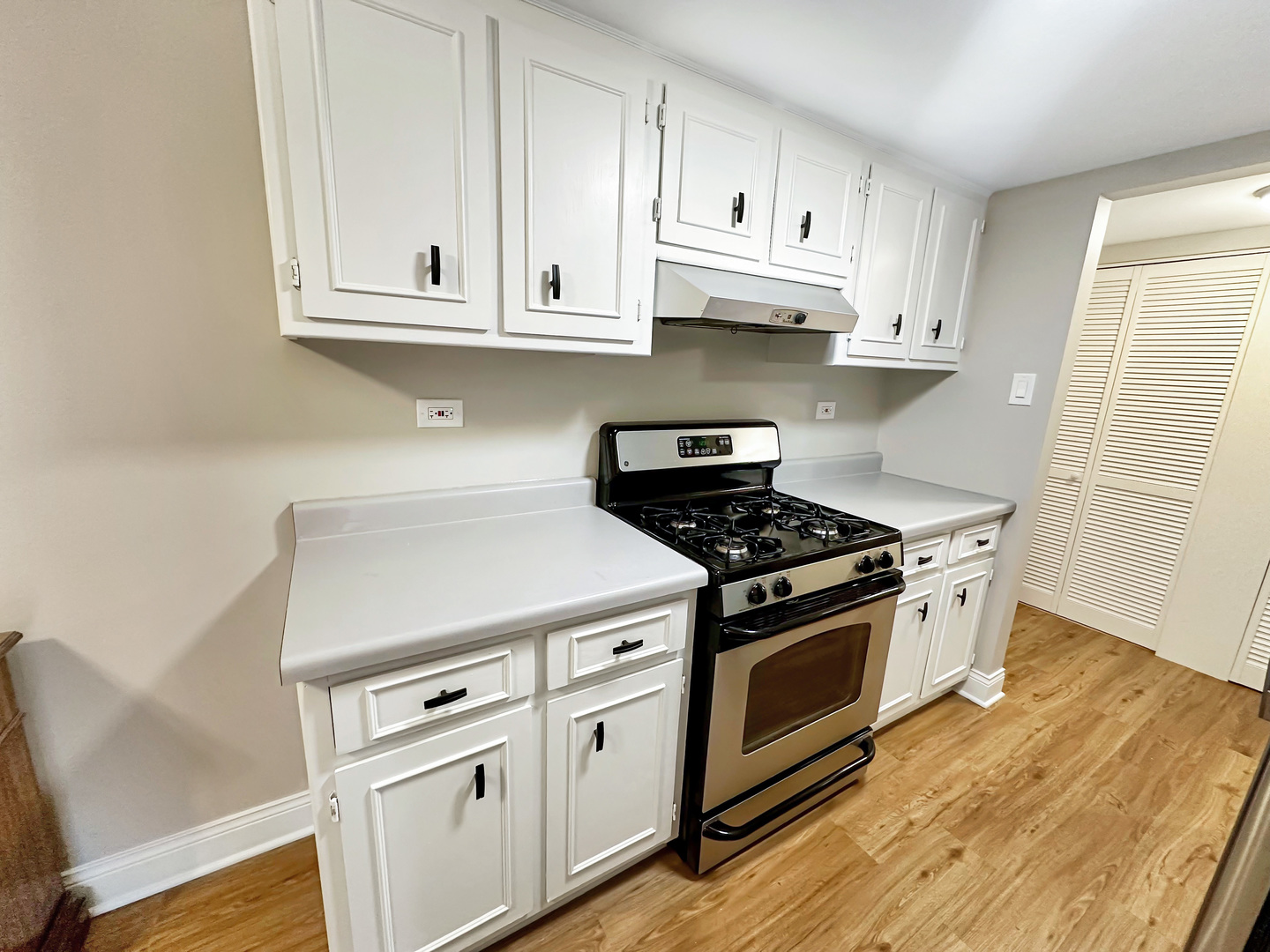500 Redondo Drive #202, Downers Grove, IL 60516