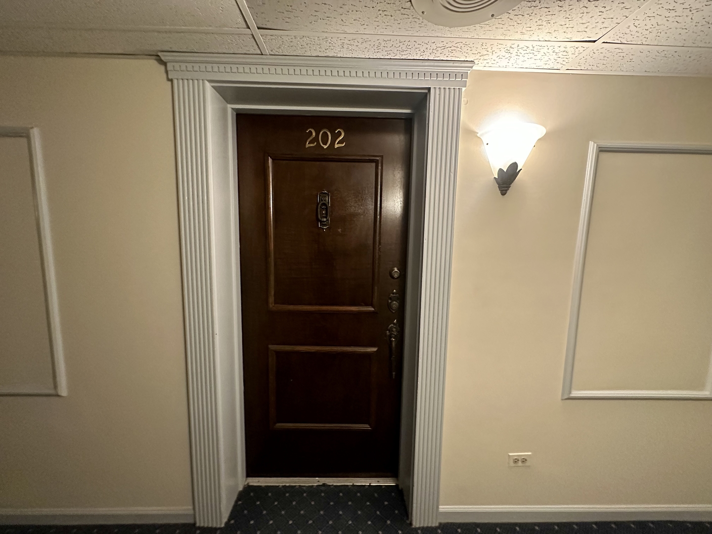 500 Redondo Drive #202, Downers Grove, IL 60516