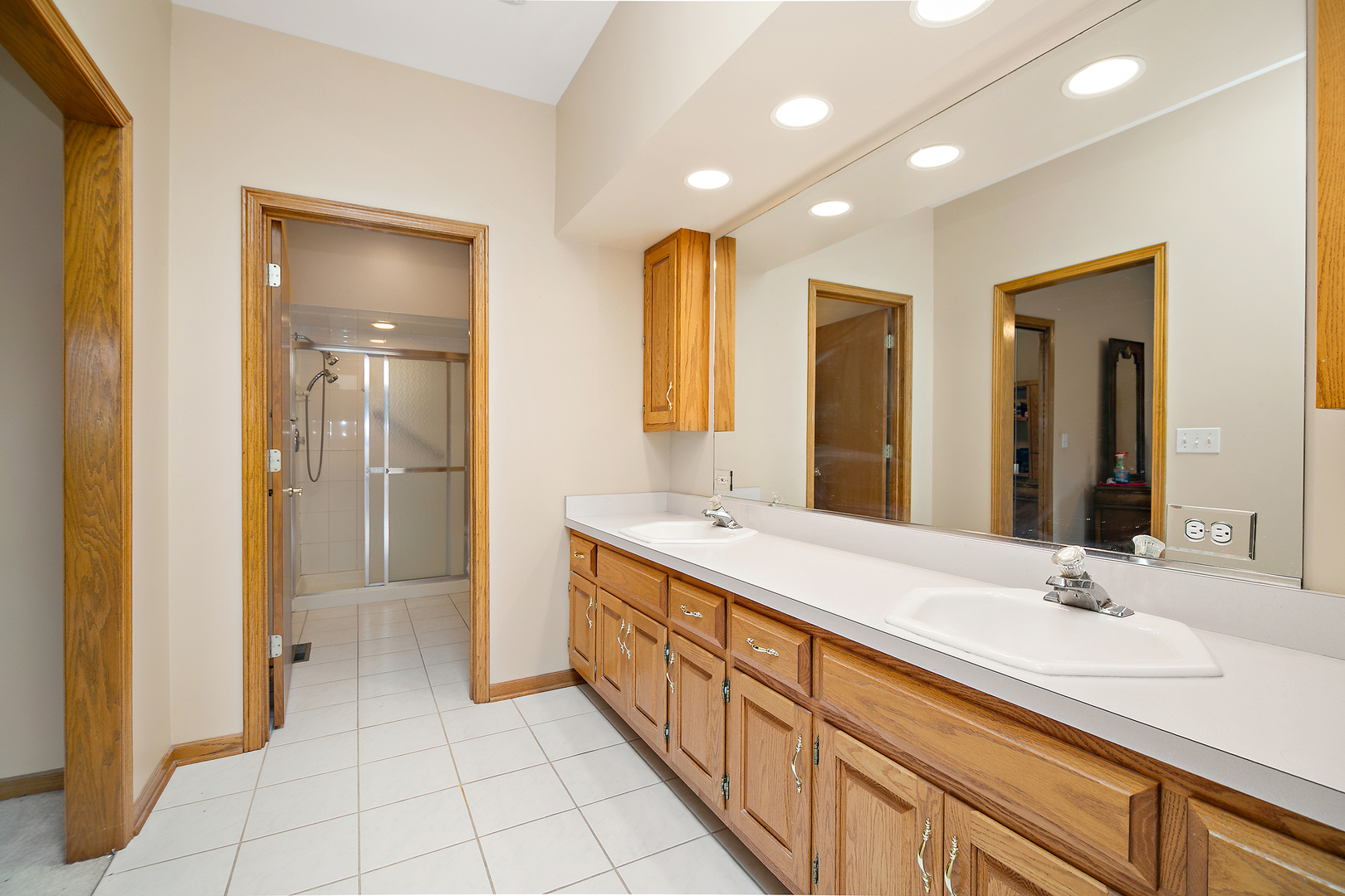 21205 Arbour Walk Drive, Frankfort, IL 60423