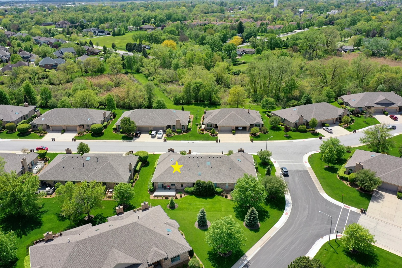 21205 Arbour Walk Drive, Frankfort, IL 60423