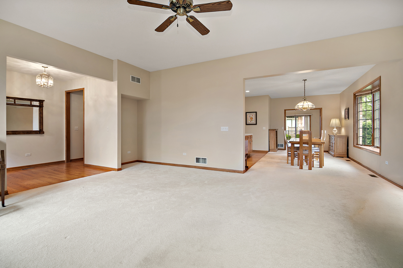 21205 Arbour Walk Drive, Frankfort, IL 60423