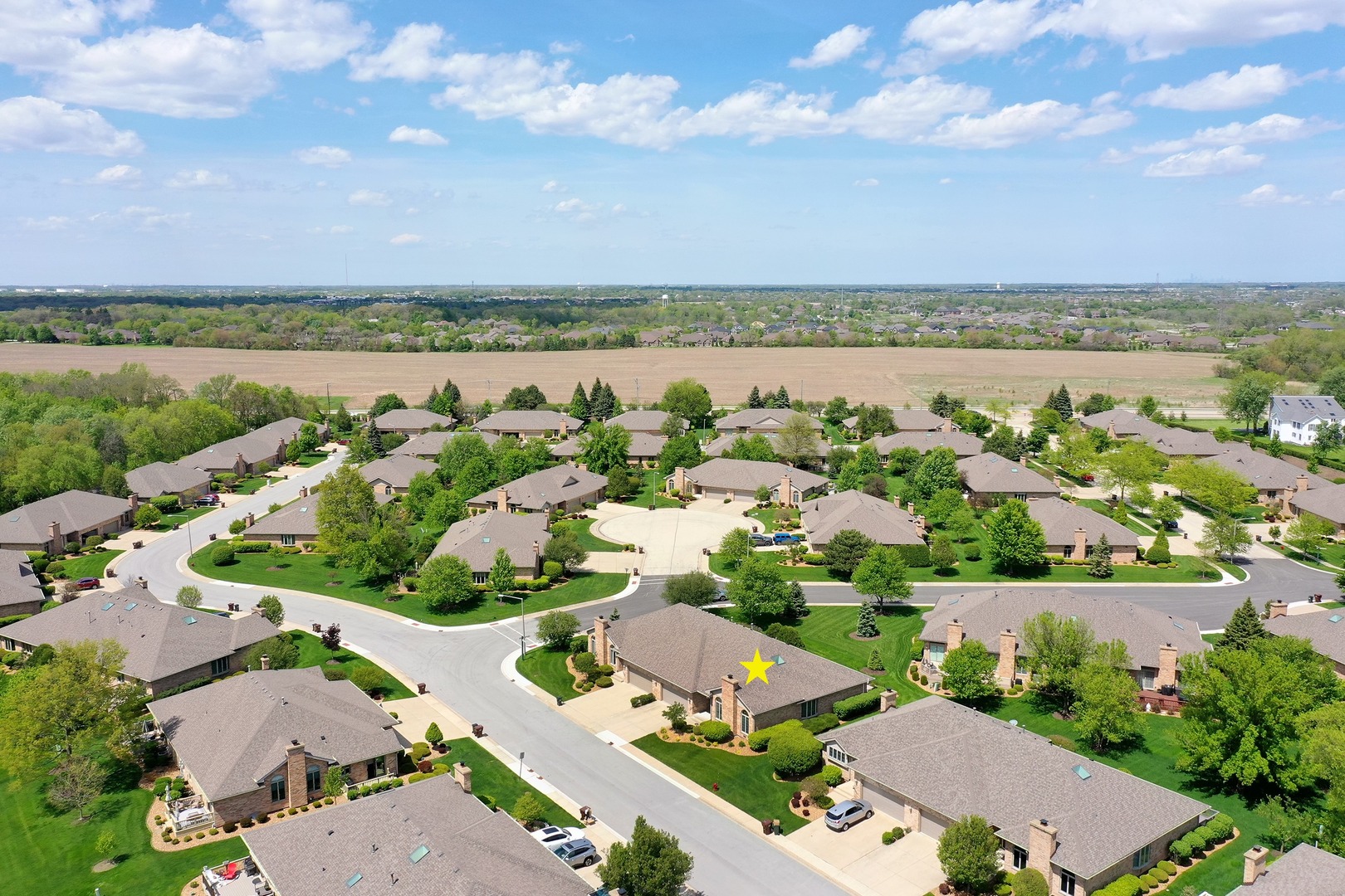 21205 Arbour Walk Drive, Frankfort, IL 60423