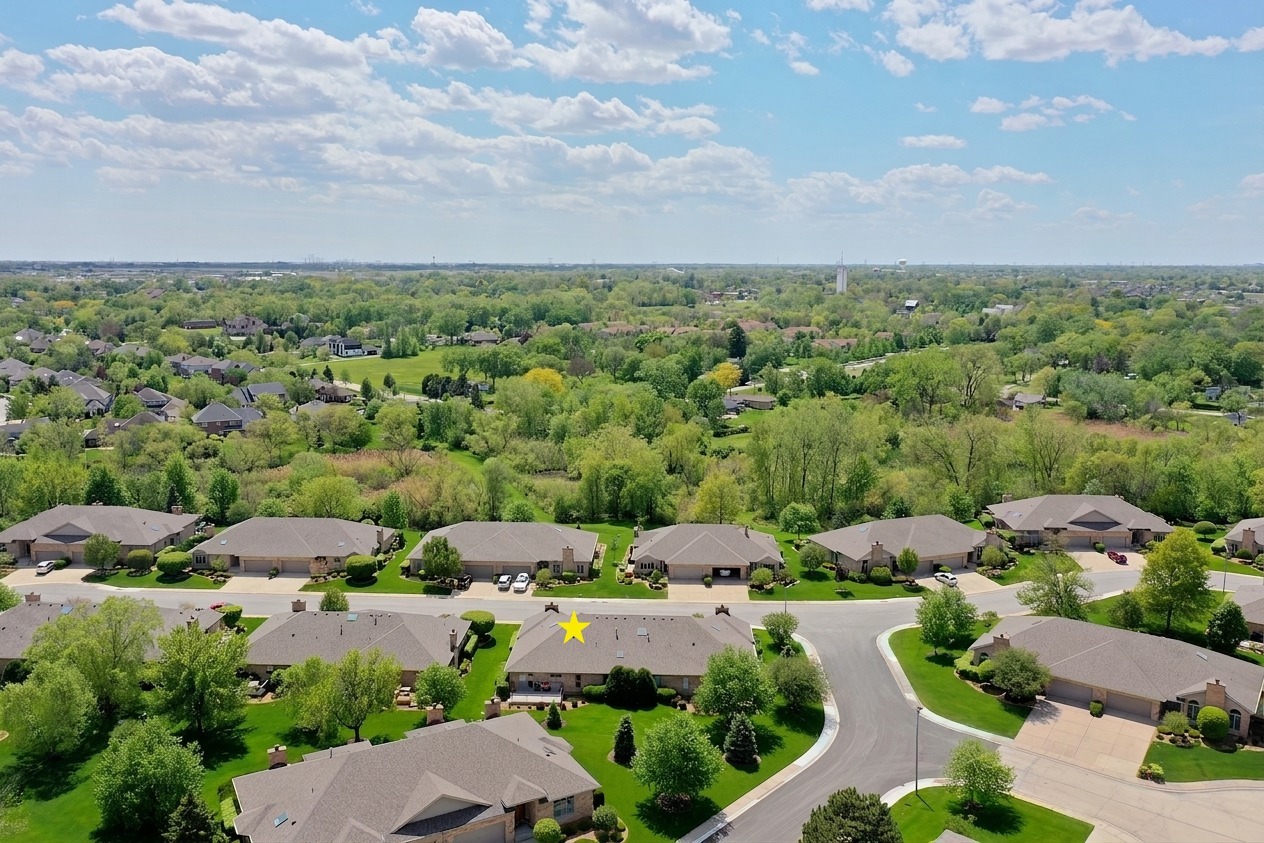 21205 Arbour Walk Drive, Frankfort, IL 60423