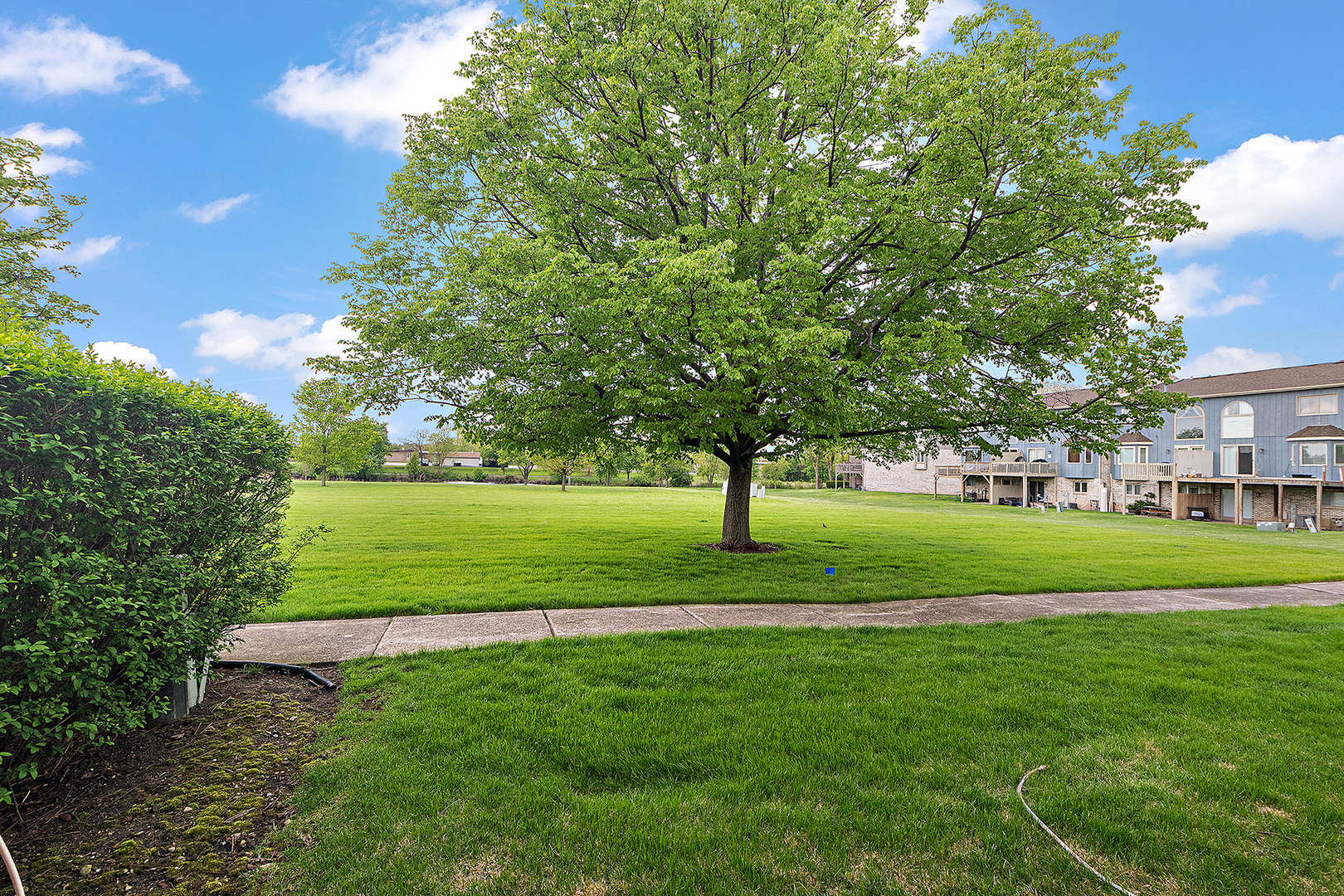 16324 Brementowne Drive, Tinley Park, IL 60477