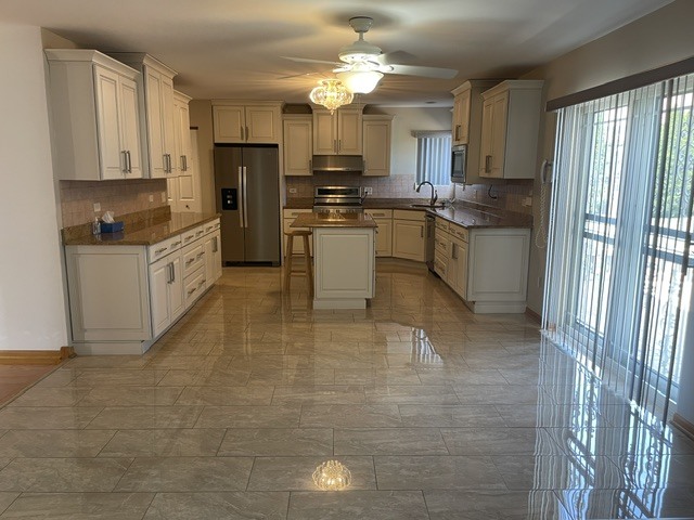 20485 Tyler Drive, Lynwood, IL 60411