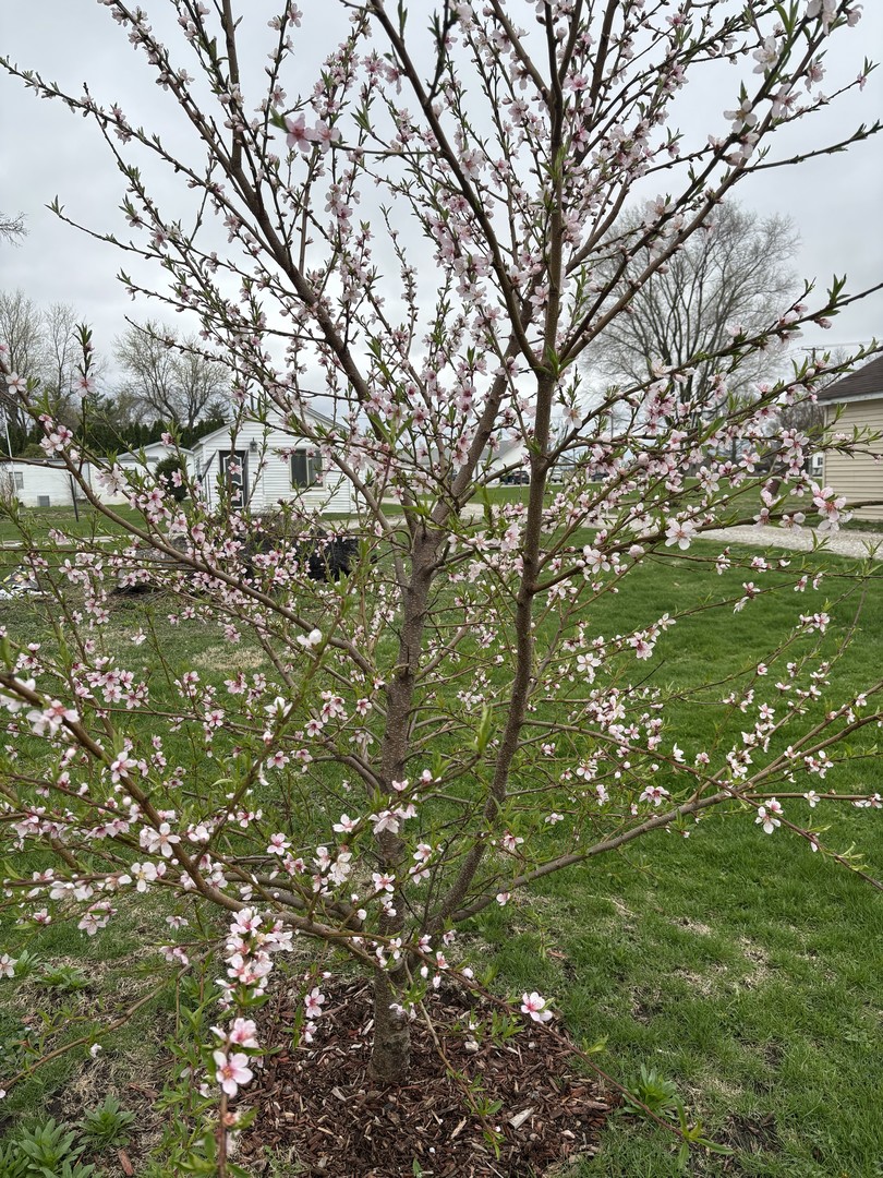5009 15th Street, Streator, IL 61364