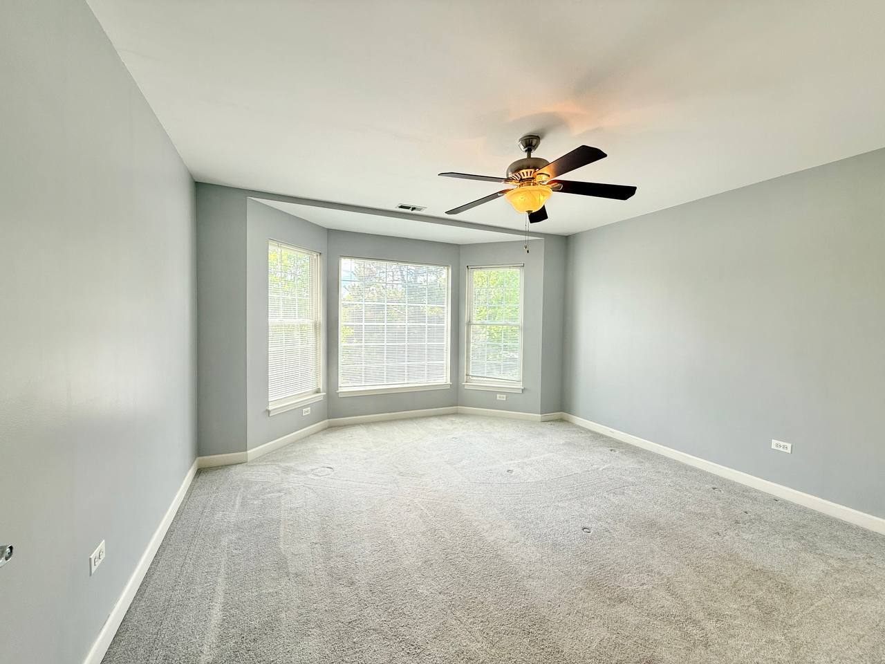 930 CASE Street, Naperville, IL 60563