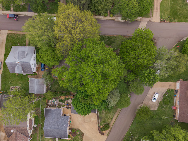 30 Payne Place, Normal, IL 61761