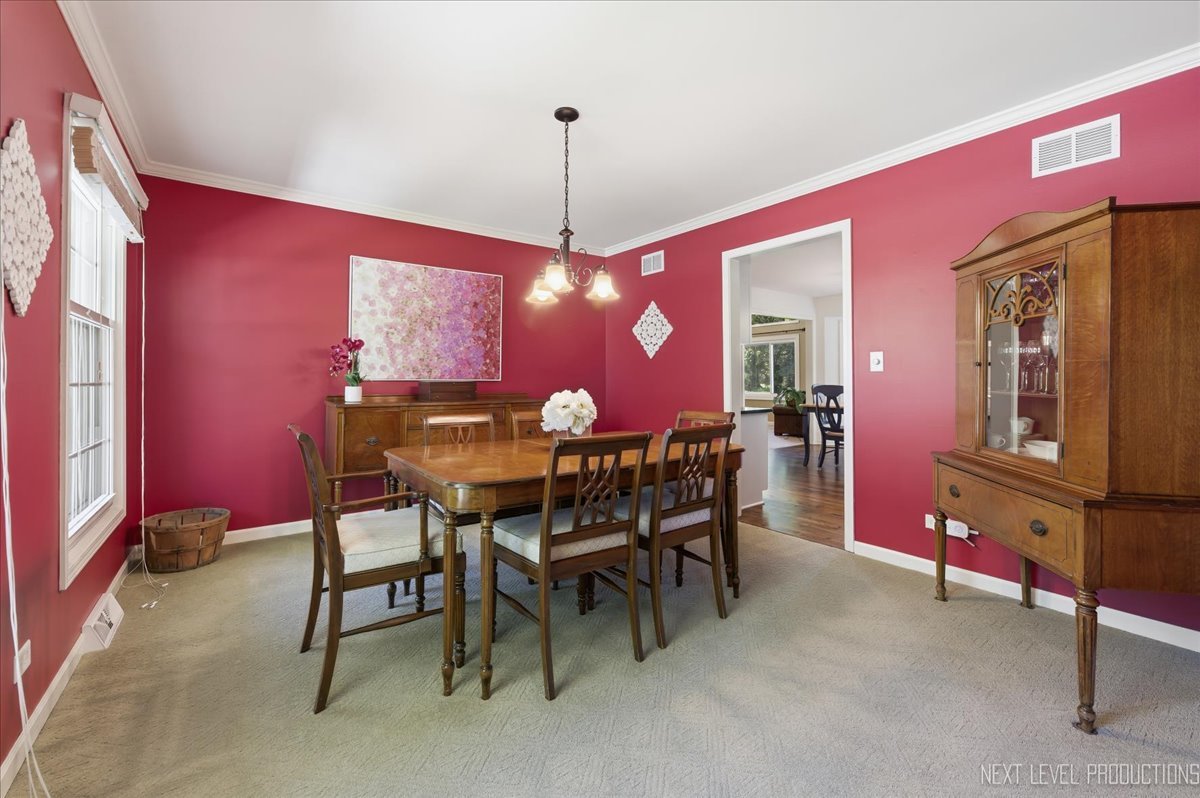 1431 Terrance Drive, Naperville, IL 60565
