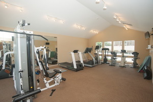 110 GLENGARRY Drive #10-106, Bloomingdale, IL 60108
