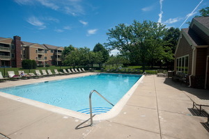 110 GLENGARRY Drive #10-106, Bloomingdale, IL 60108
