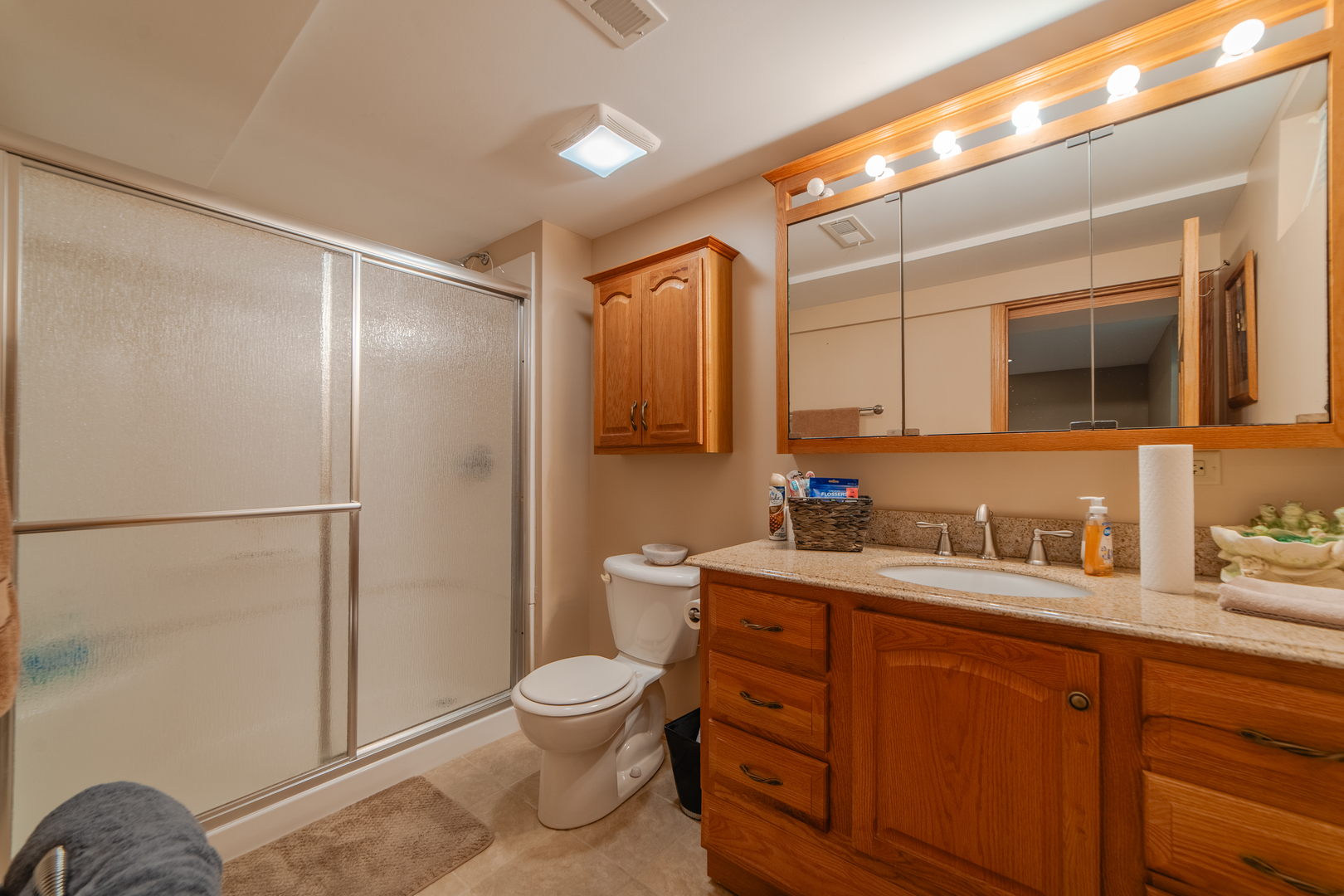 16045 S Codo Drive, Homer Glen, IL 60491