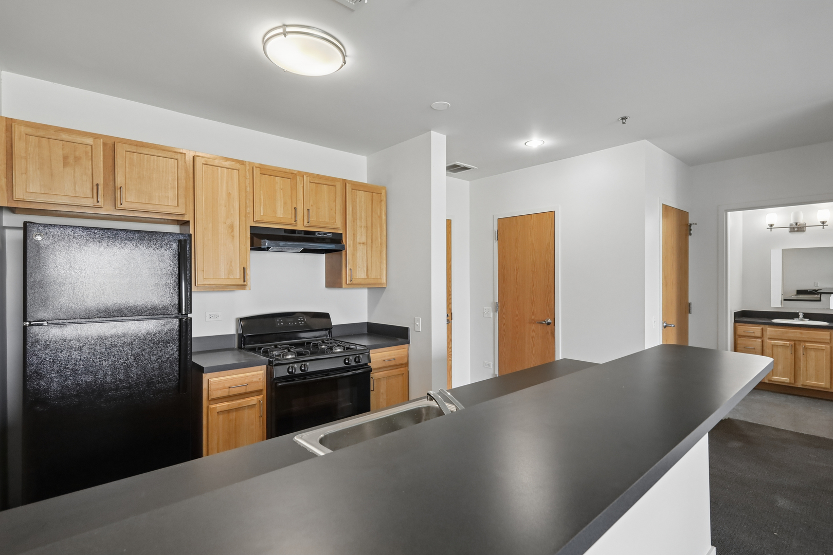 3622 S State Street #413, Chicago, IL 60609