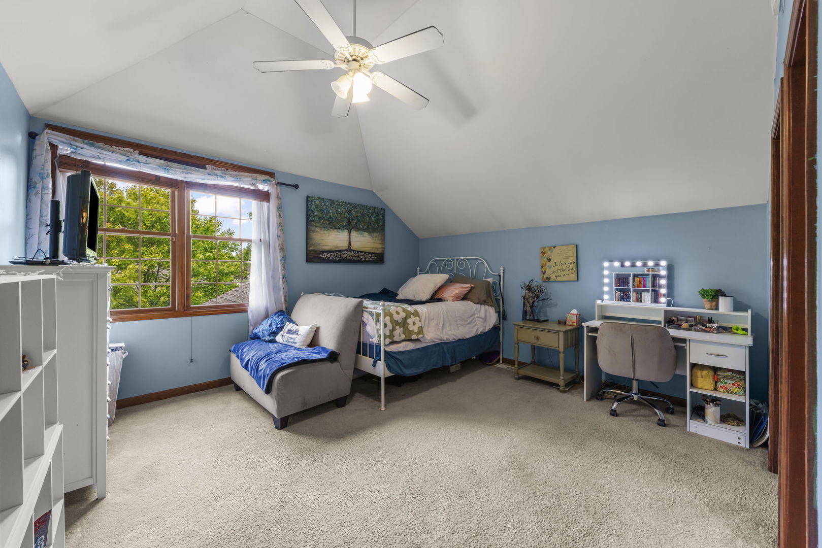 17004 Arbor Creek Drive, Plainfield, IL 60586