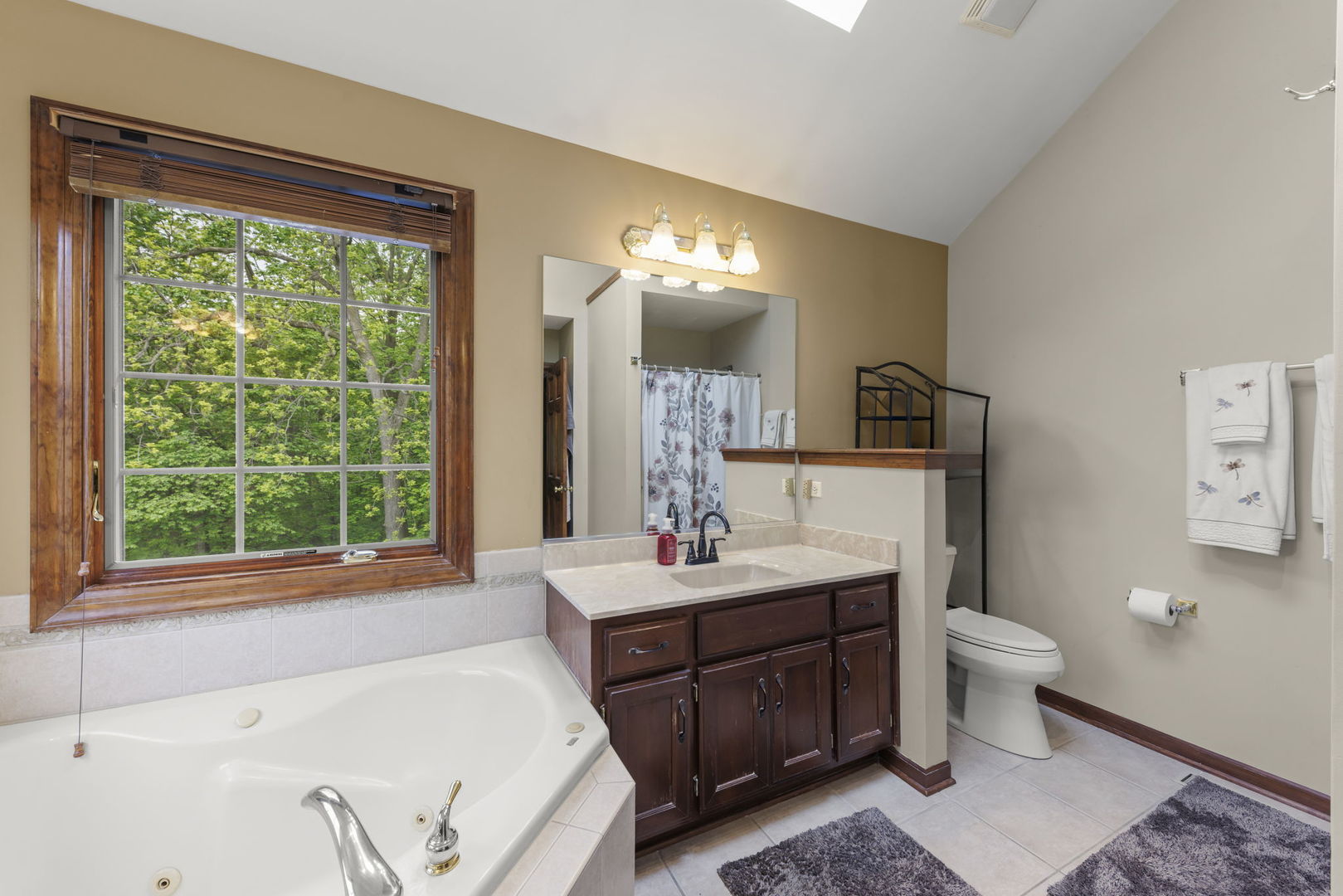 17004 Arbor Creek Drive, Plainfield, IL 60586