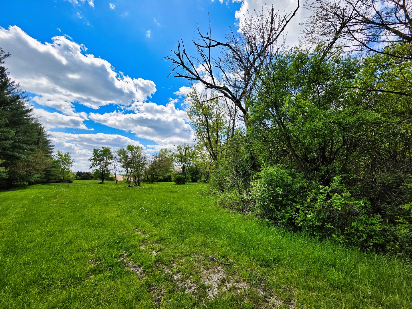 1947 E Steger Road, Crete, IL 60417