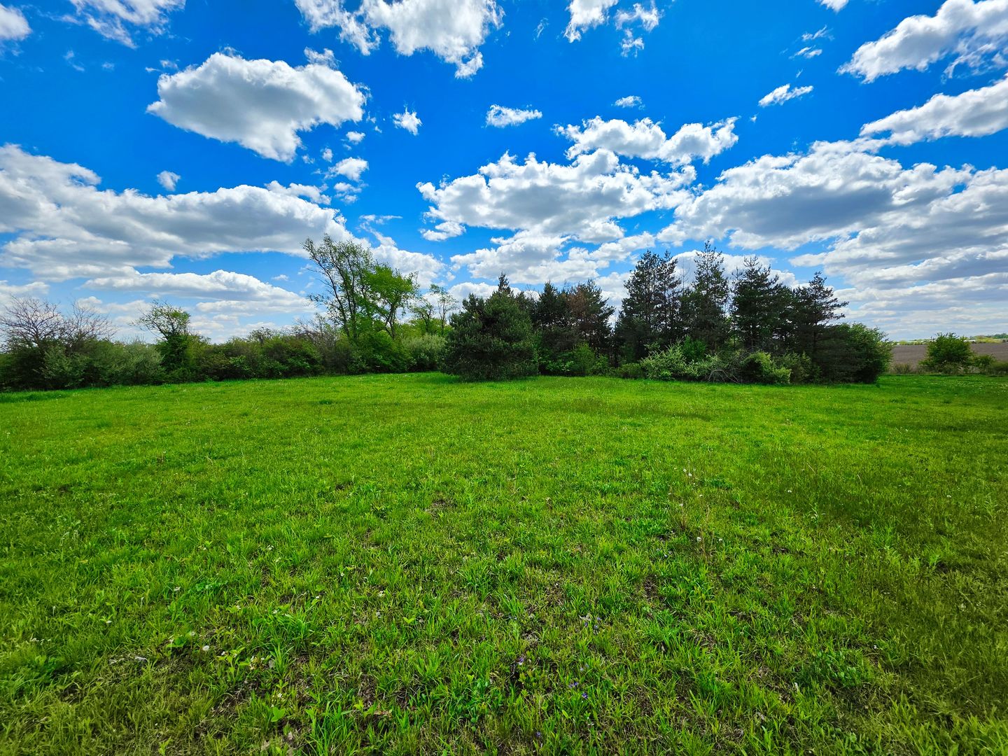 1947 E Steger Road, Crete, IL 60417
