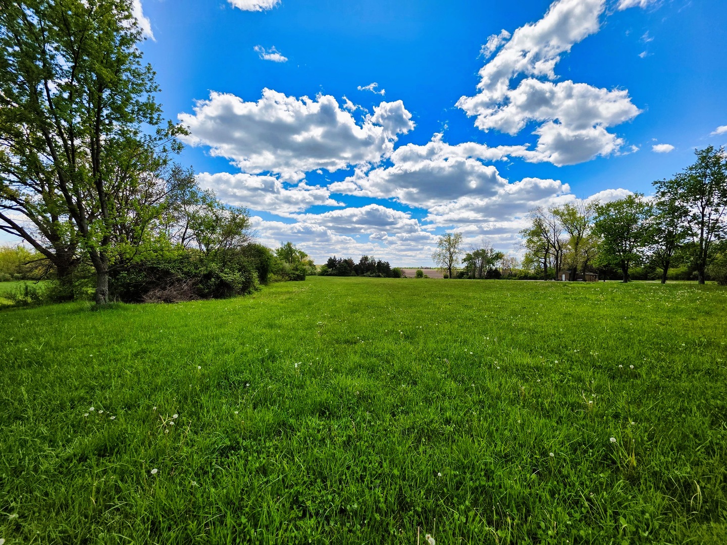 1947 E Steger Road, Crete, IL 60417