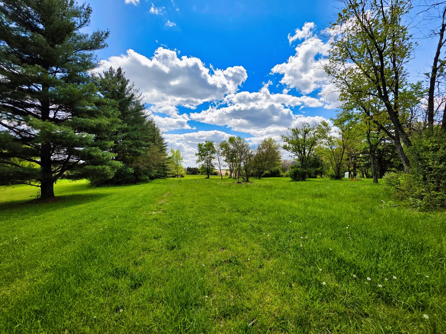 1947 E Steger Road, Crete, IL 60417