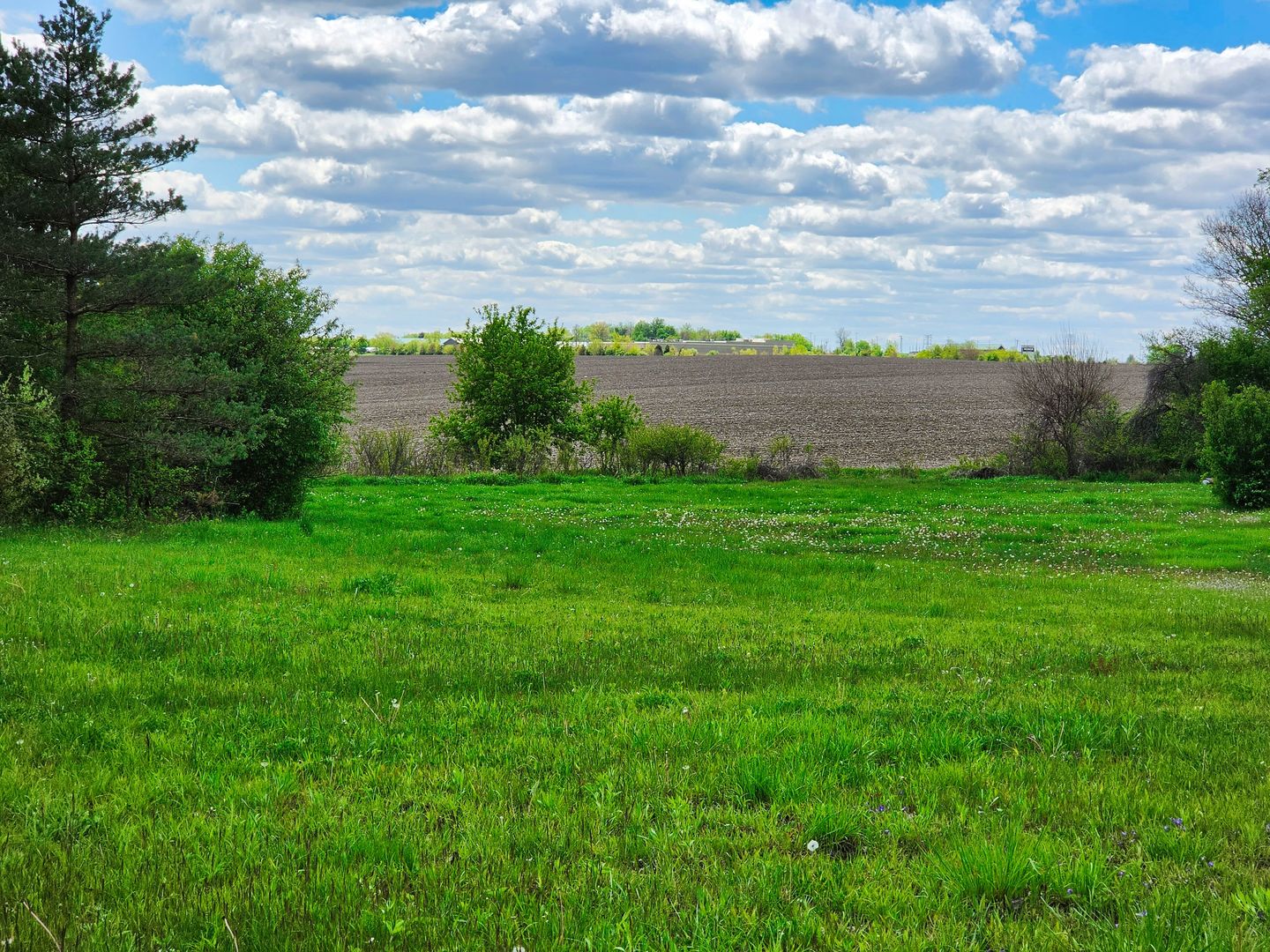 1947 E Steger Road, Crete, IL 60417