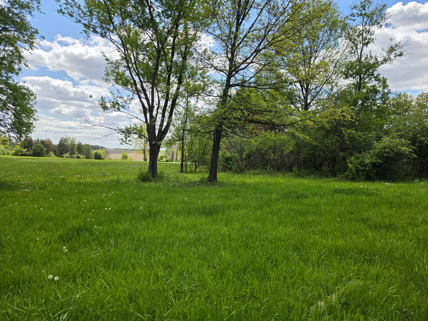 1947 E Steger Road, Crete, IL 60417