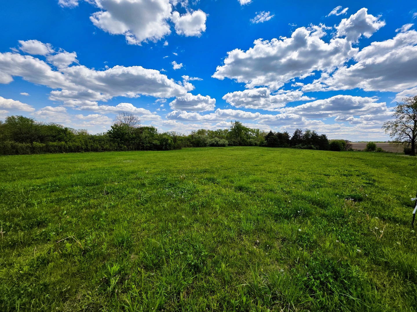 1947 E Steger Road, Crete, IL 60417