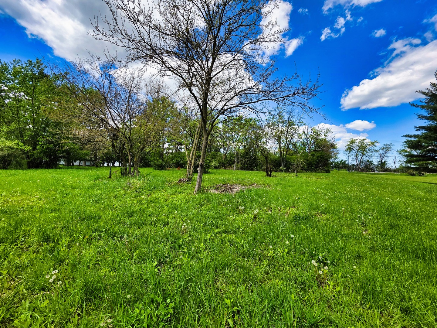 1947 E Steger Road, Crete, IL 60417