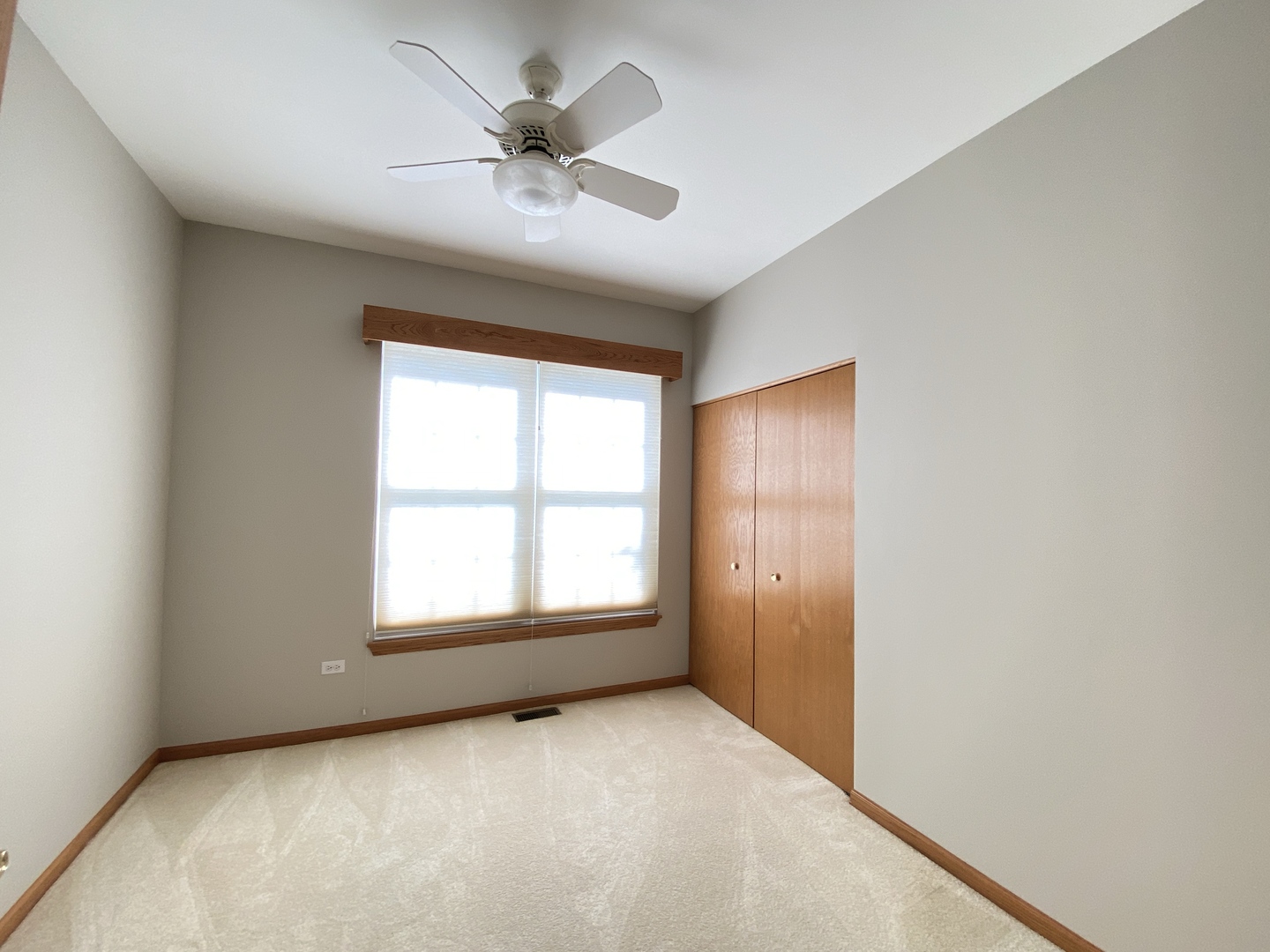 13520 S Buckthorn Lane, Plainfield, IL 60544