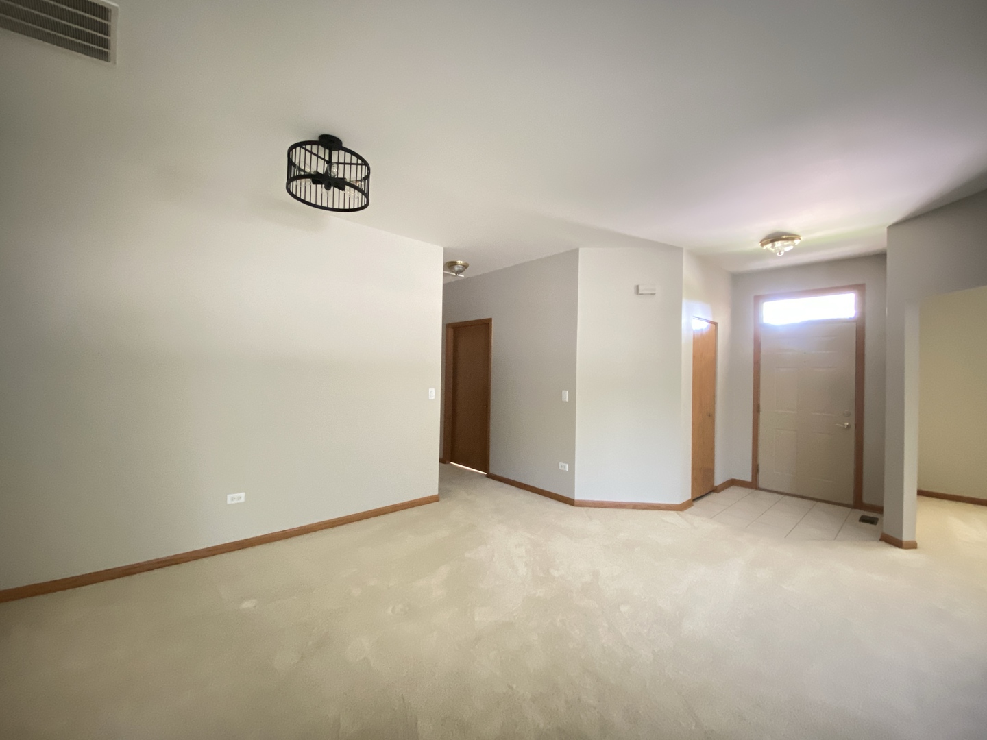 13520 S Buckthorn Lane, Plainfield, IL 60544