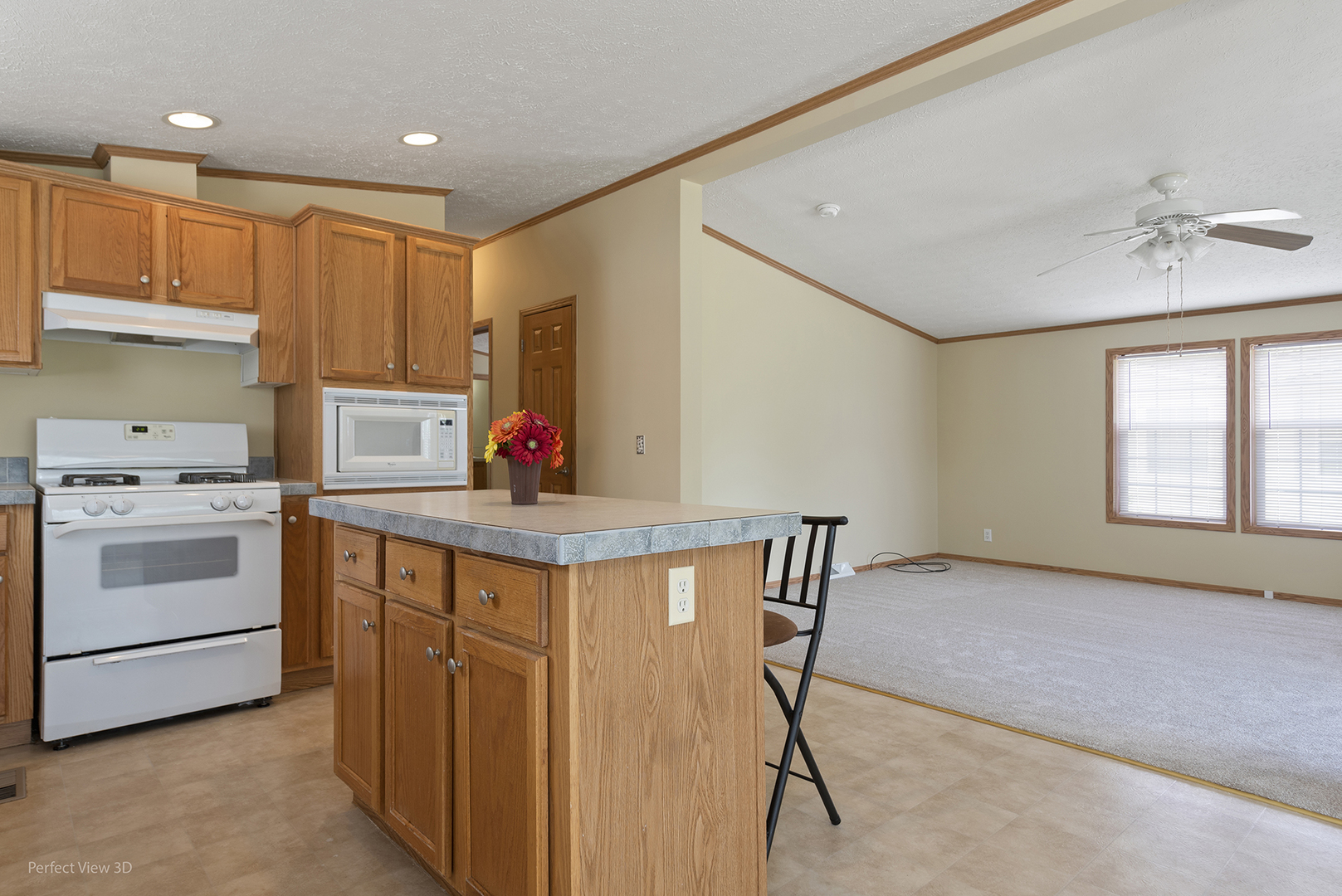 1041 ASPEN Drive, Manteno, IL 60950