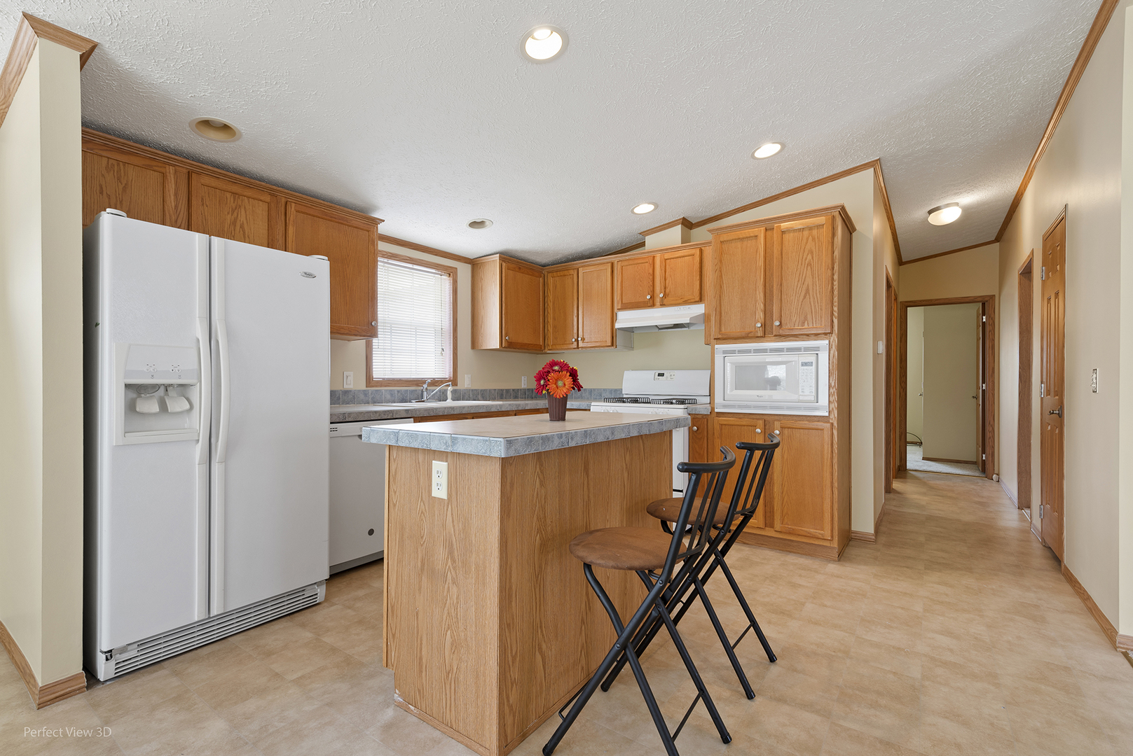 1041 ASPEN Drive, Manteno, IL 60950
