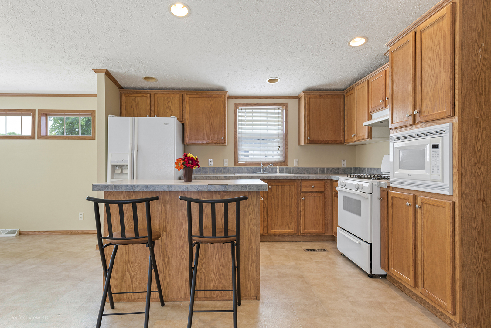 1041 ASPEN Drive, Manteno, IL 60950