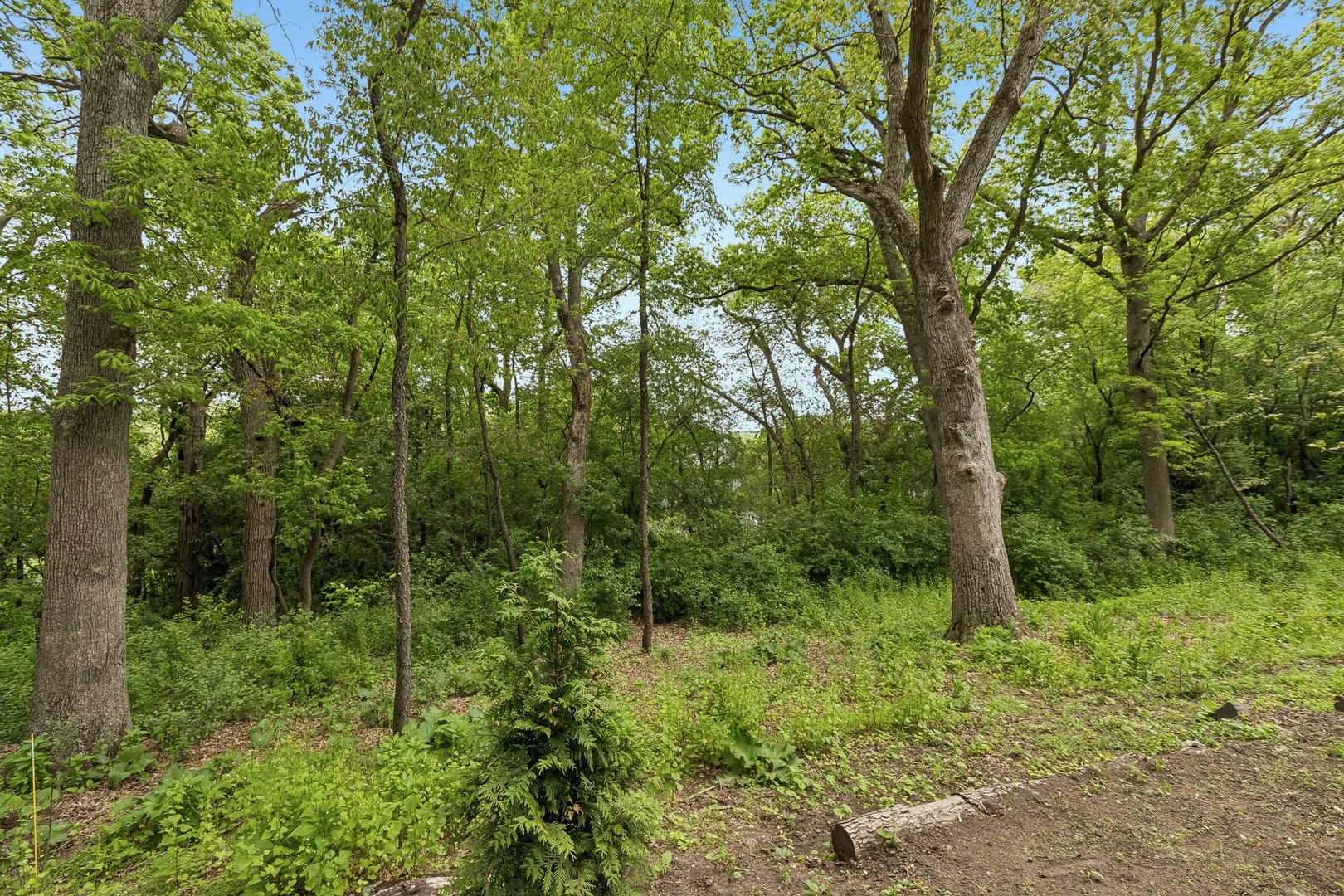 26073 W Laurel Court, Wauconda, IL 60084