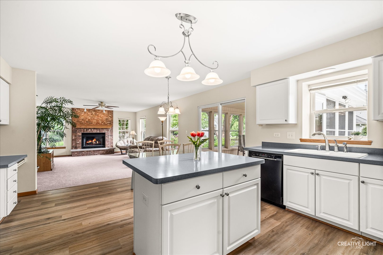 2324 Snapdragon Road, Naperville, IL 60564