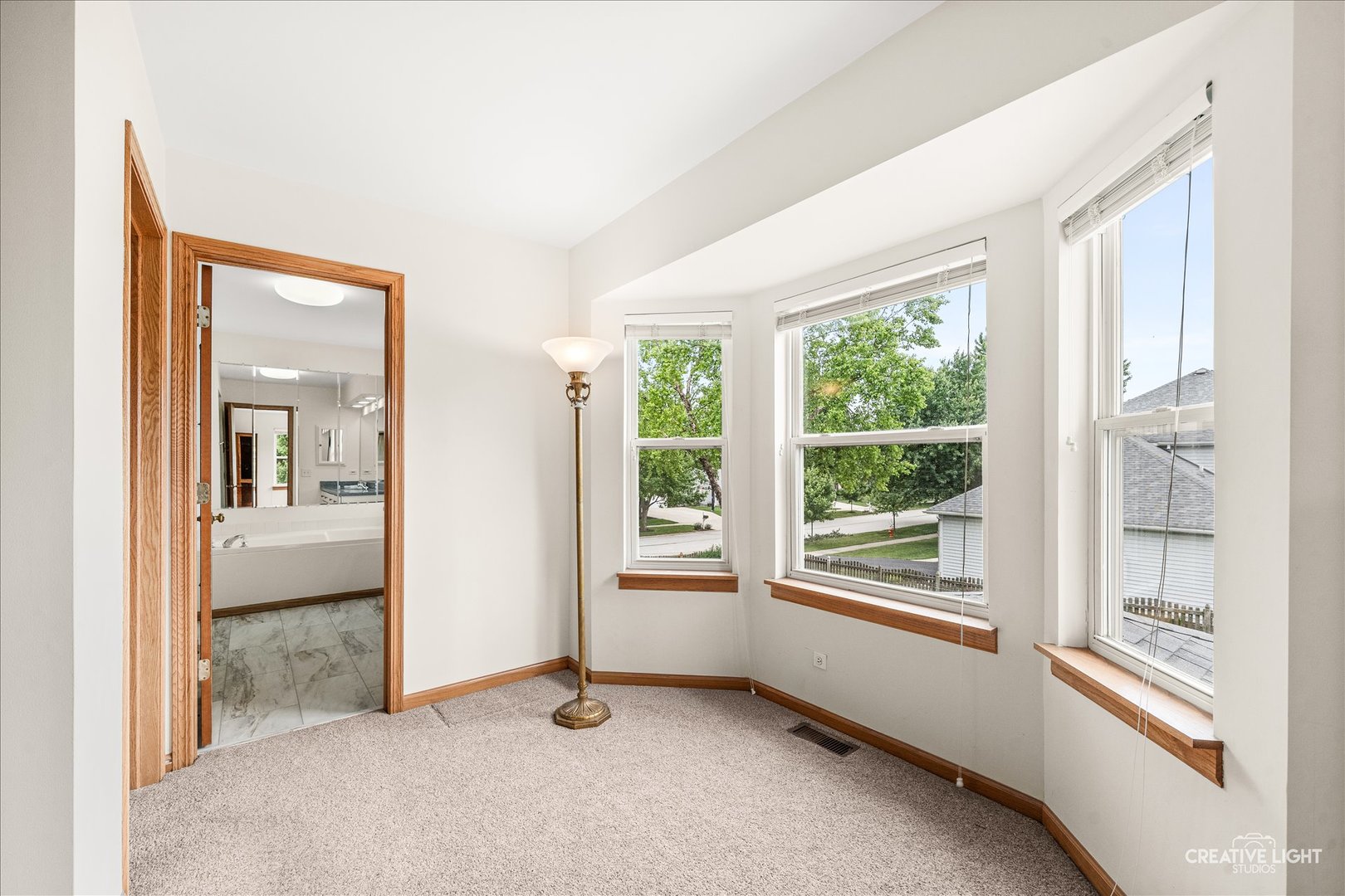 2324 Snapdragon Road, Naperville, IL 60564