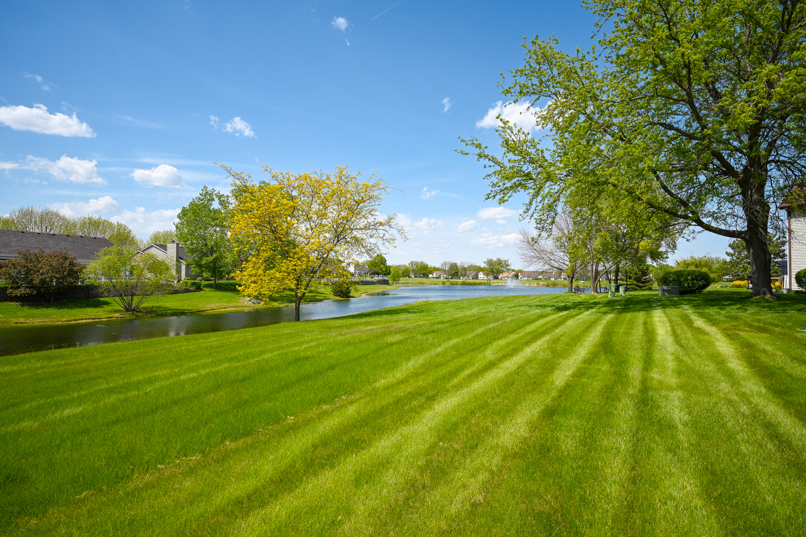 21068 W Hazelnut Lane, Plainfield, IL 60544