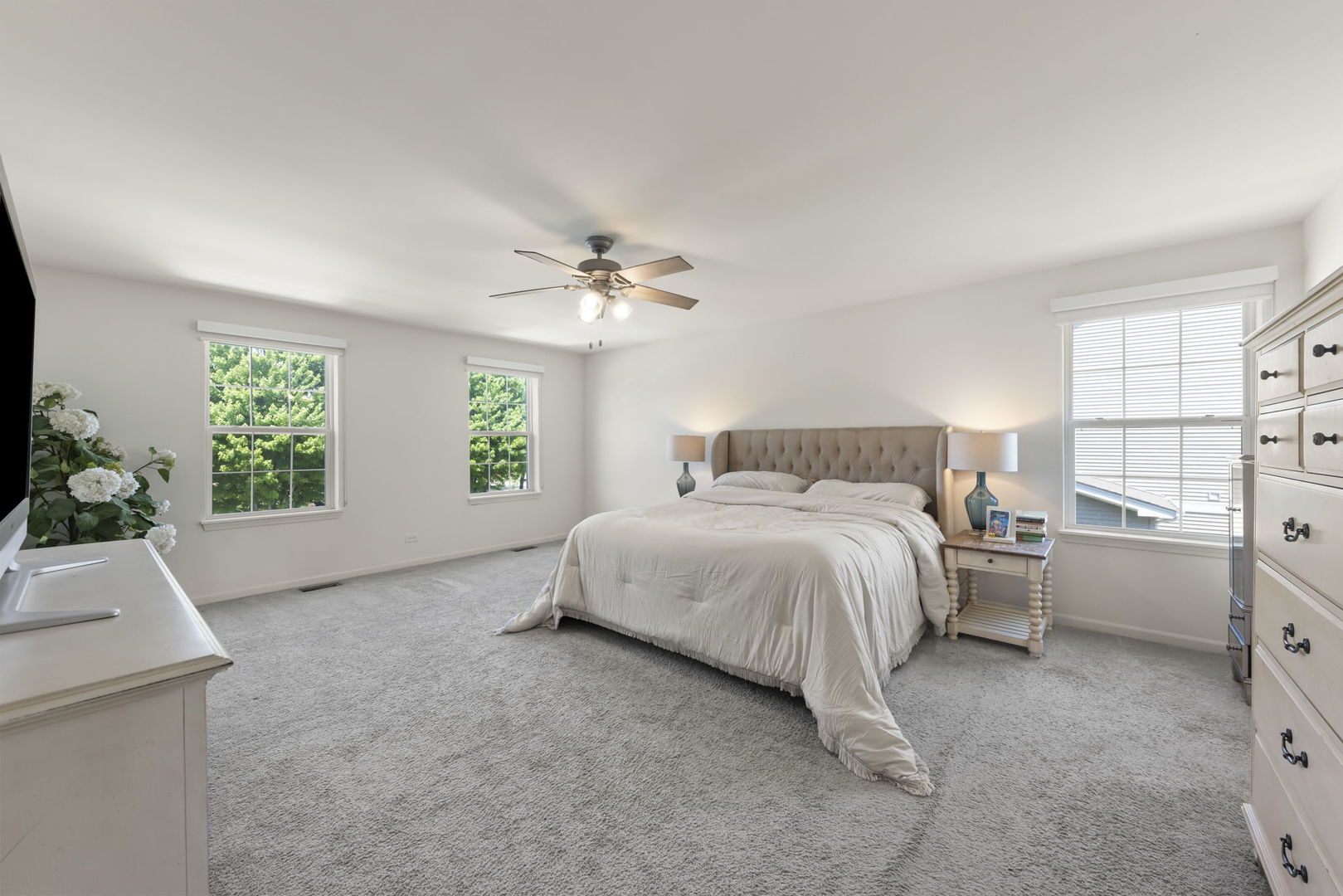 27008 Ashgate Crossing, Plainfield, IL 60585