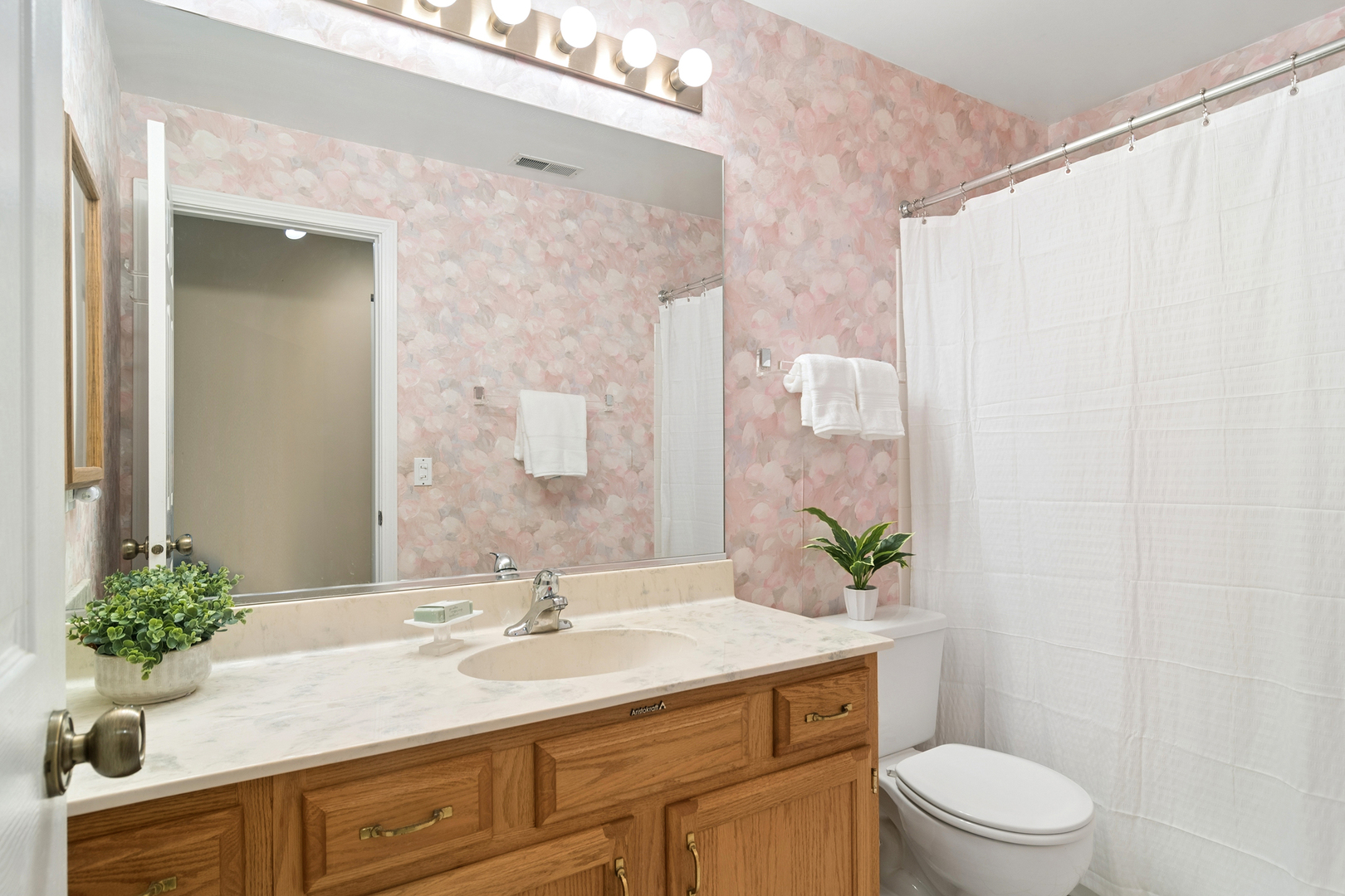 1007 Butternut Lane #D, Mount Prospect, IL 60056