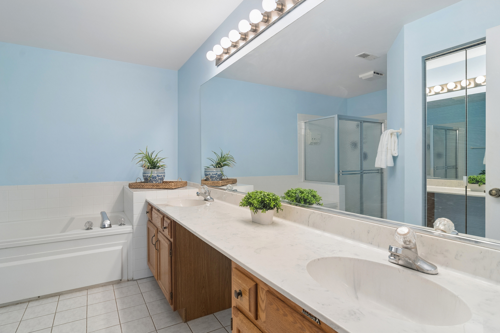 1007 Butternut Lane #D, Mount Prospect, IL 60056