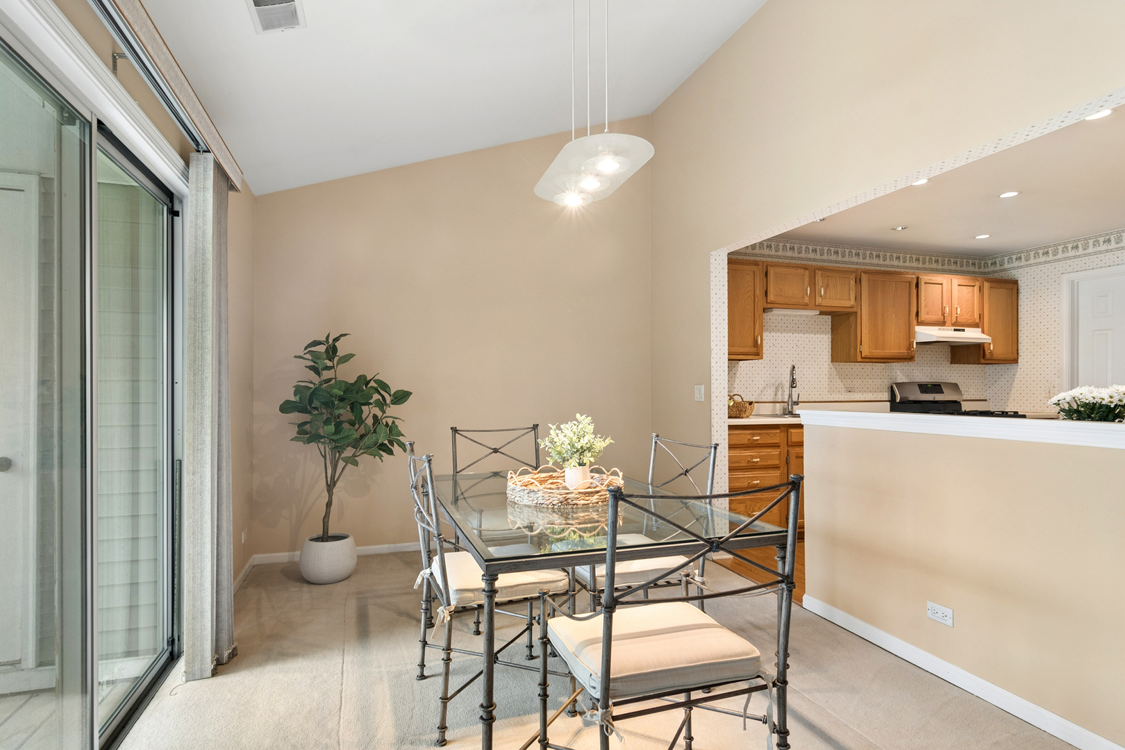 1007 Butternut Lane #D, Mount Prospect, IL 60056