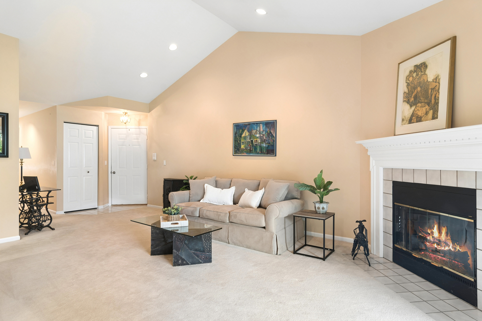 1007 Butternut Lane #D, Mount Prospect, IL 60056