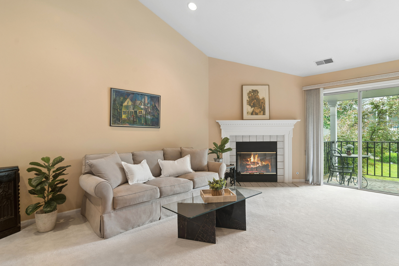 1007 Butternut Lane #D, Mount Prospect, IL 60056