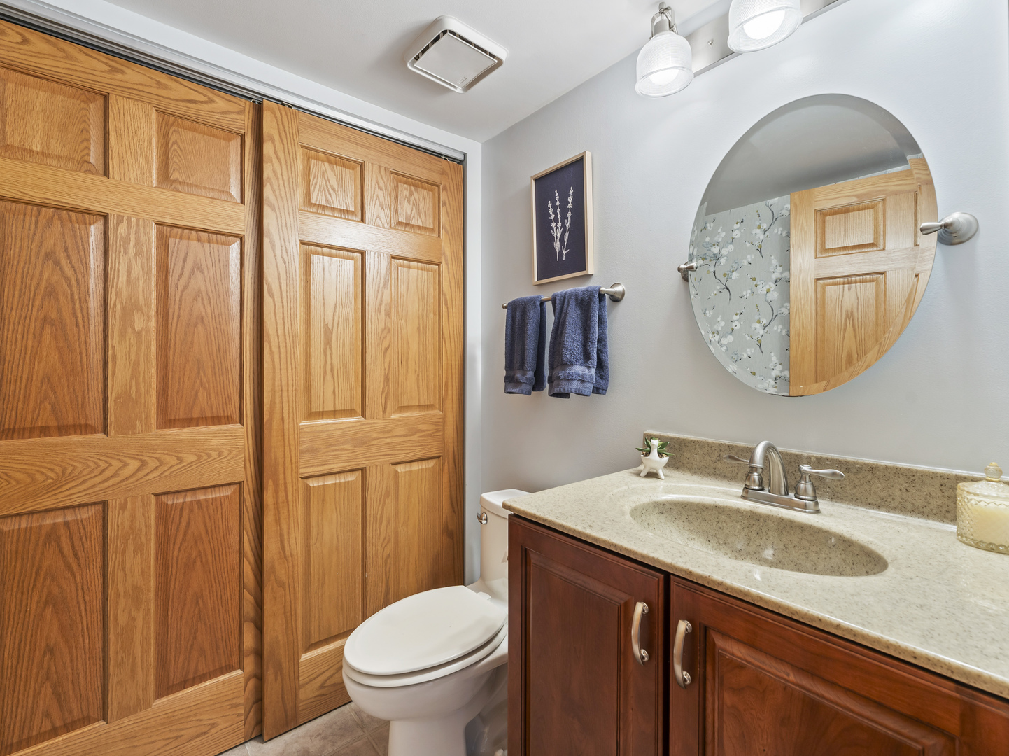 1432 Brahms Court, Bartlett, IL 60103