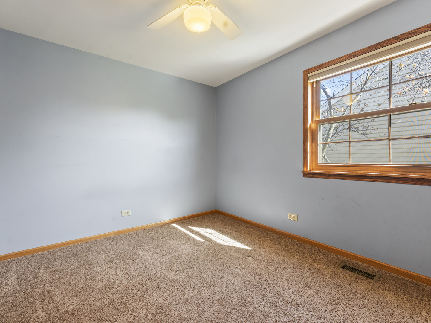 1432 Brahms Court, Bartlett, IL 60103