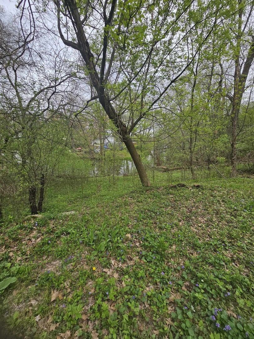 38581 N Hillandale Drive, Spring Grove, IL 60081