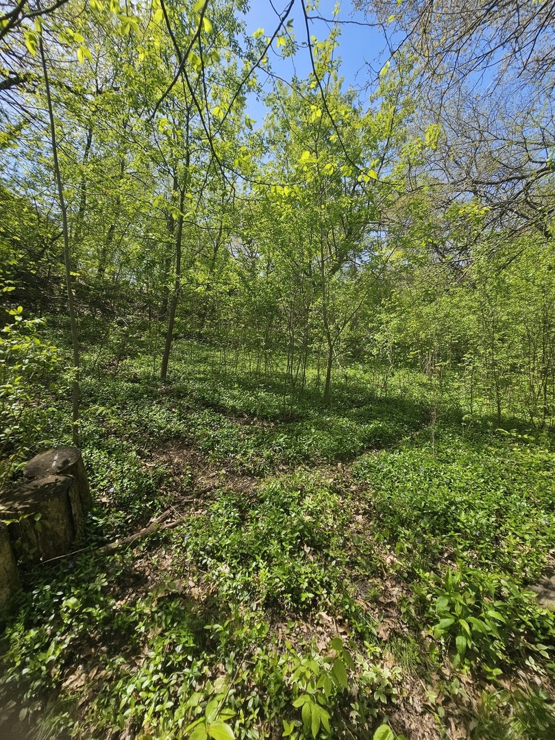 38581 N Hillandale Drive, Spring Grove, IL 60081