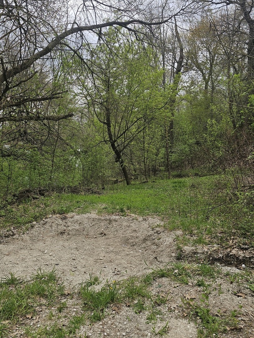 38581 N Hillandale Drive, Spring Grove, IL 60081