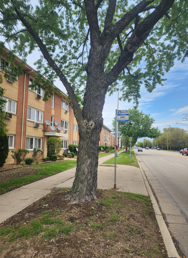4450 W 111th Street #22, Oak Lawn, IL 60453